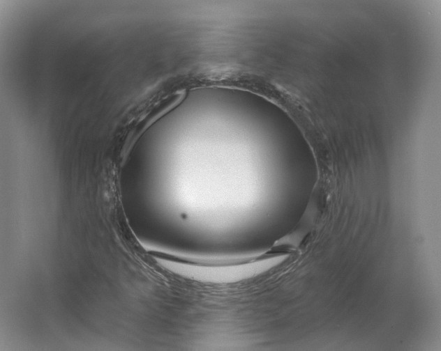 X0000064721349200602241623