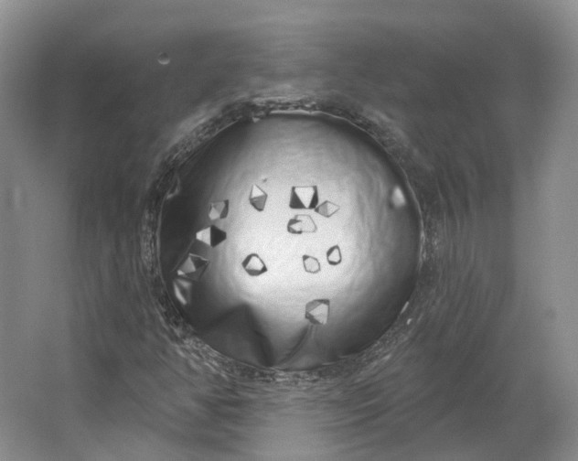 X0000064721350200602241623