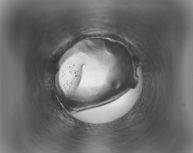 X0000064721351200602241623