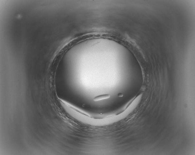 X0000064721352200602241623