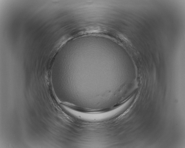 X0000064721353200602241623