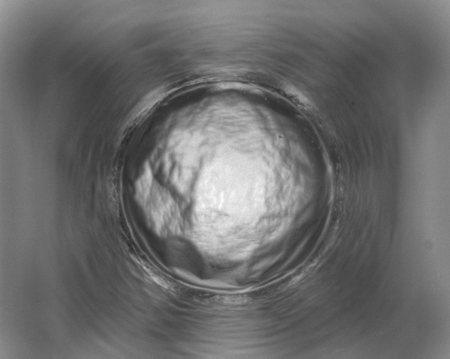 X0000064721354200602241623