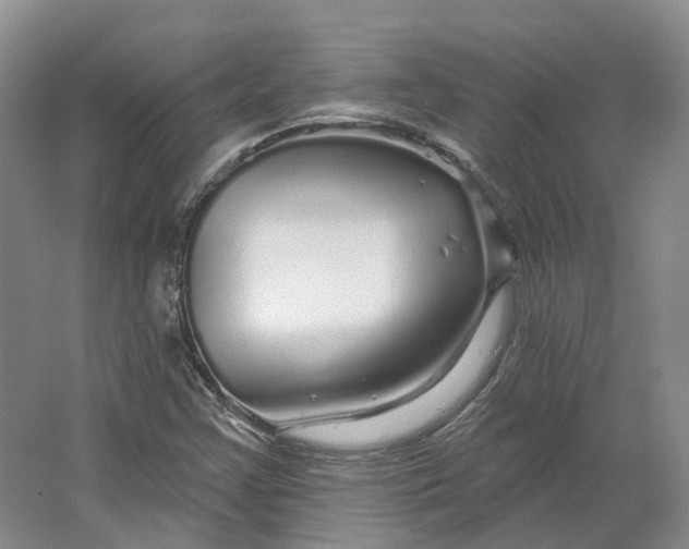 X0000064721355200602241623