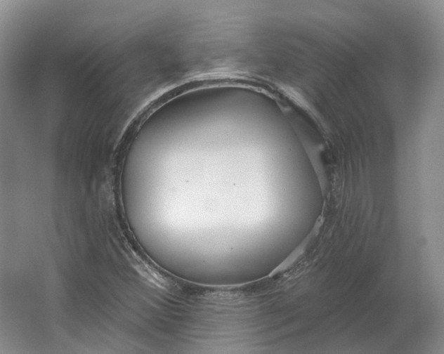 X0000064721356200602241623