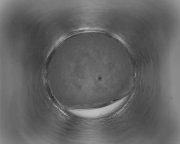 X0000064721357200602241623