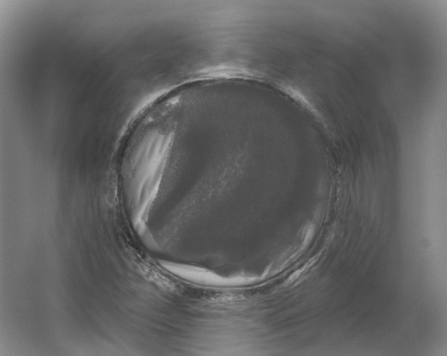 X0000064721358200602241623