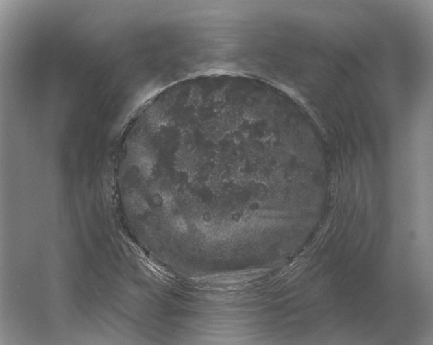 X0000064721359200602241623