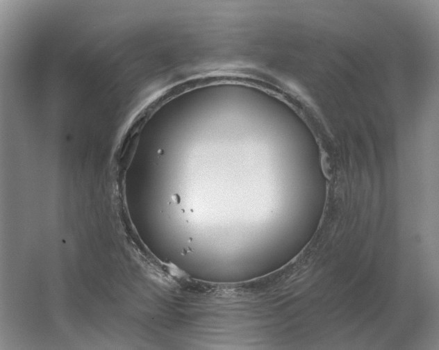 X0000064721360200602241623