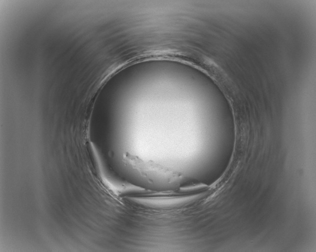 X0000064721361200602241623