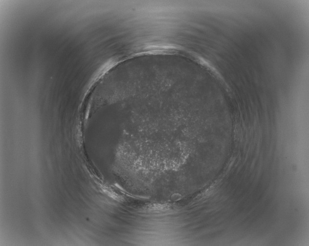 X0000064721362200602241623