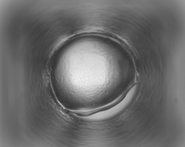 X0000064721363200602241623