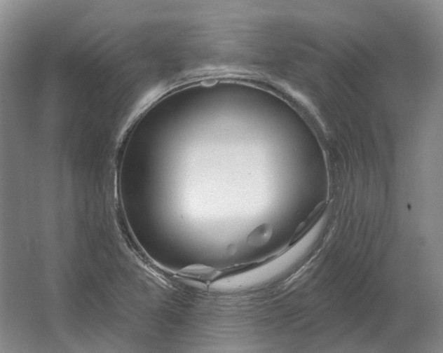 X0000064721365200602241623