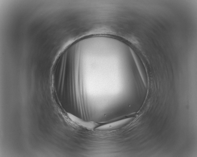 X0000064721366200602241623