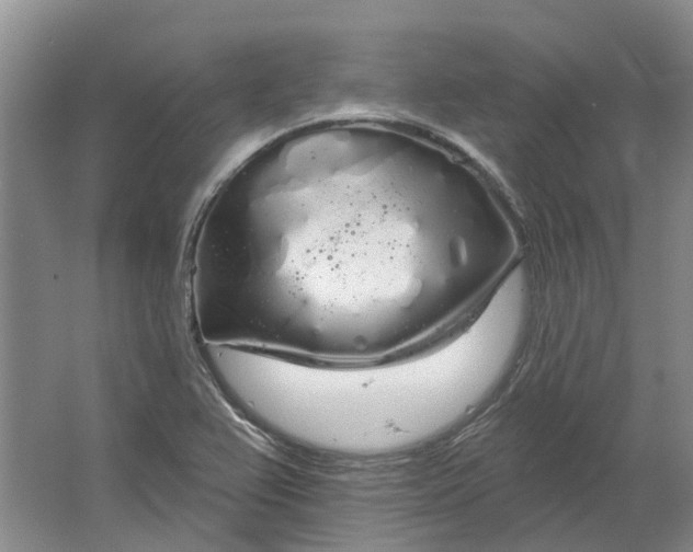 X0000064721367200602241623