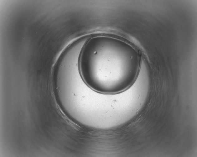 X0000064721368200602241623