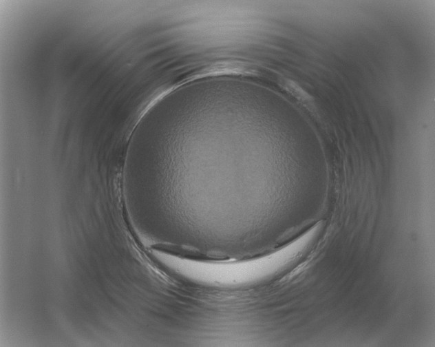 X0000064721369200602241623