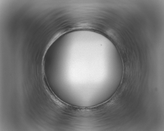 X0000064721370200602241623