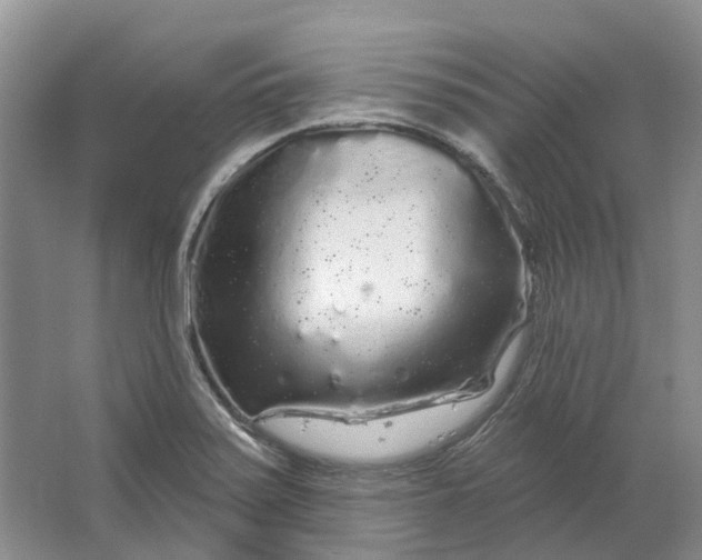 X0000064721371200602241623