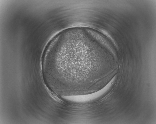 X0000064721372200602241623