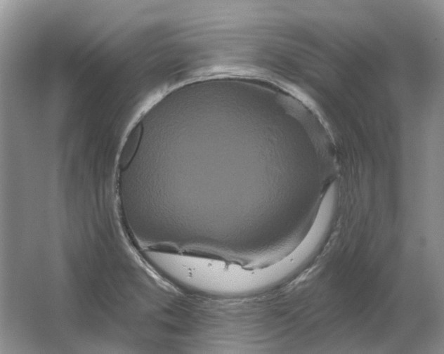 X0000064721373200602241623