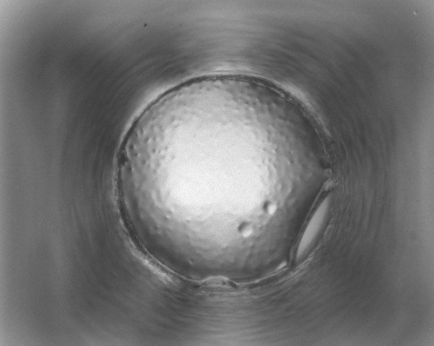 X0000064721374200602241622