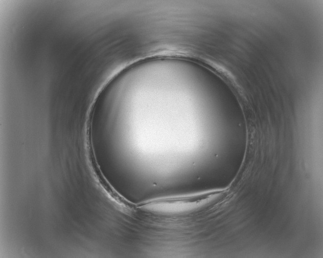 X0000064721375200602241622