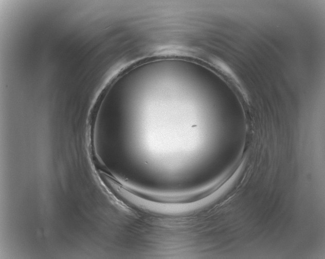 X0000064721376200602241622