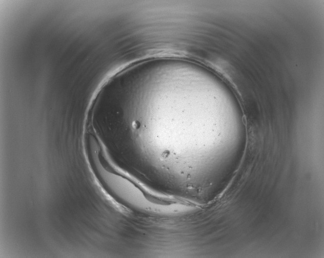 X0000064721379200602241622