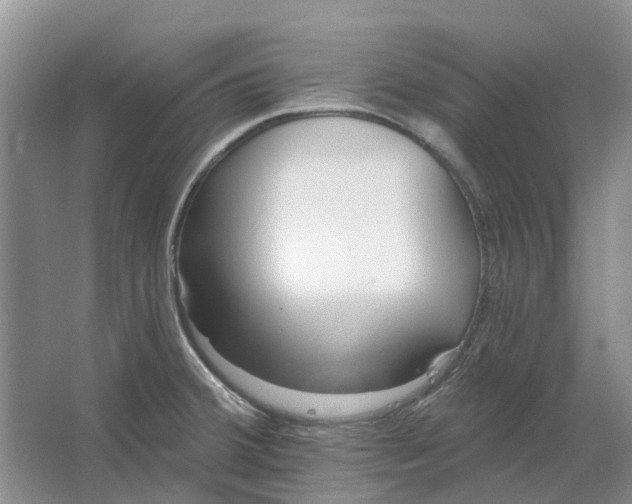 X0000064721380200602241622