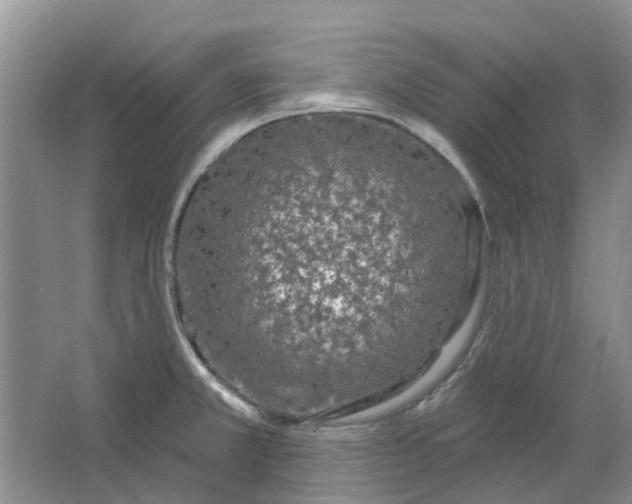 X0000064721381200602241622