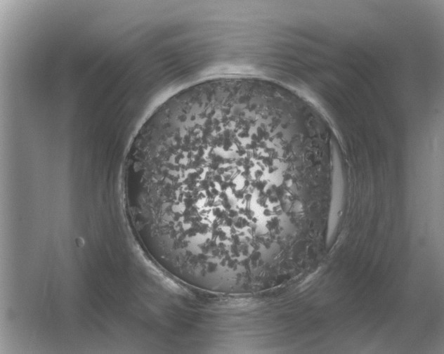 X0000064721382200602241622