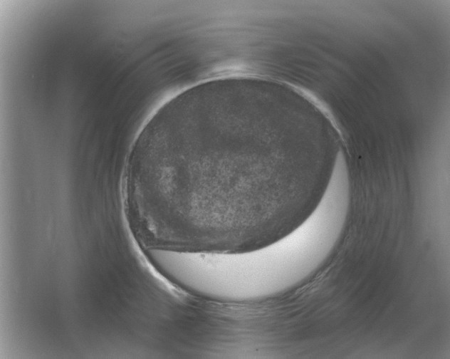 X0000064721383200602241622