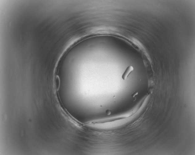 X0000064721384200602241622