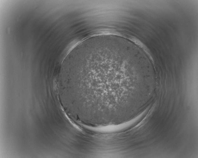 X0000064721385200602241622