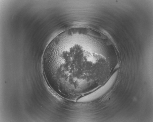 X0000064721386200602241622