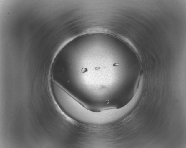 X0000064721387200602241622