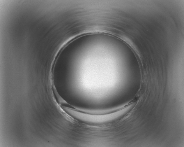 X0000064721388200602241622