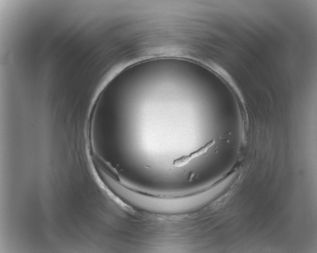 X0000064721389200602241622