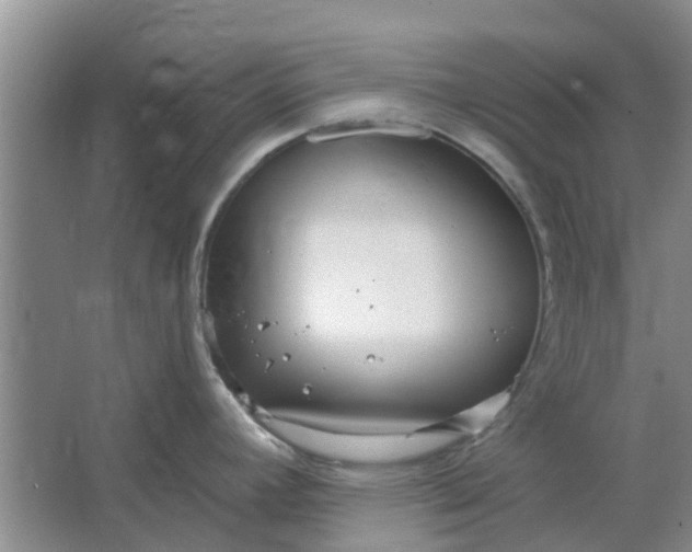 X0000064721392200602241622