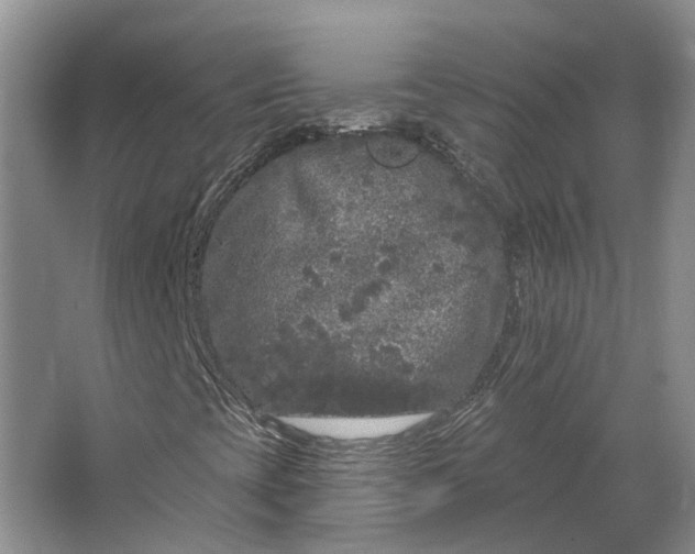 X0000064721393200602241621