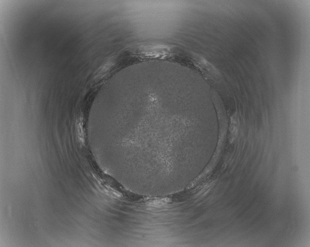 X0000064721394200602241621