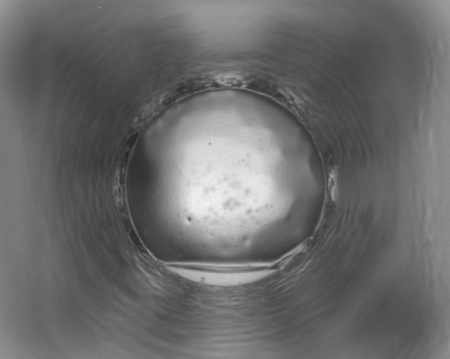 X0000064721395200602241621