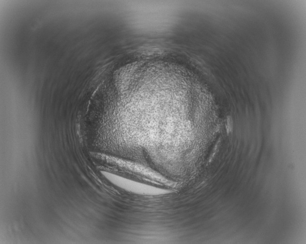 X0000064721396200602241621