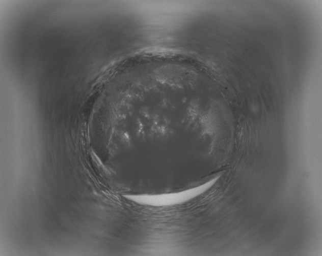 X0000064721397200602241621