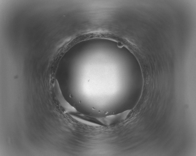 X0000064721398200602241621