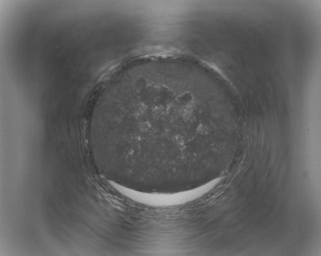 X0000064721399200602241621