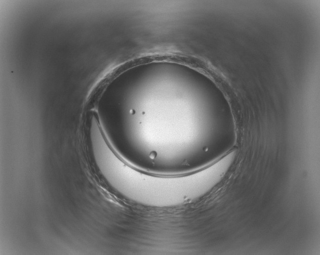 X0000064721400200602241621