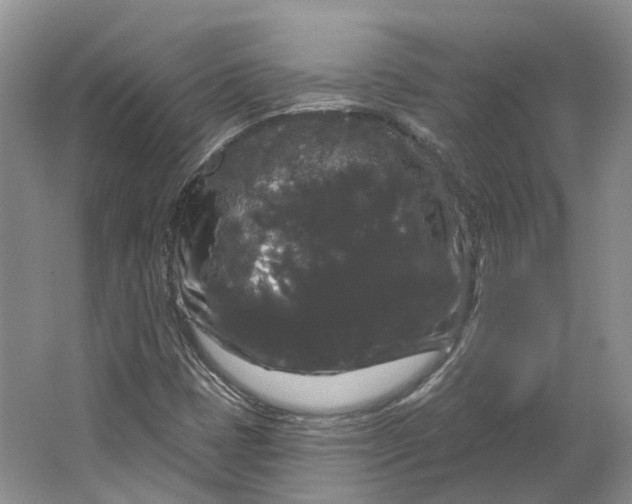 X0000064721401200602241621