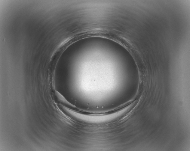 X0000064721402200602241621