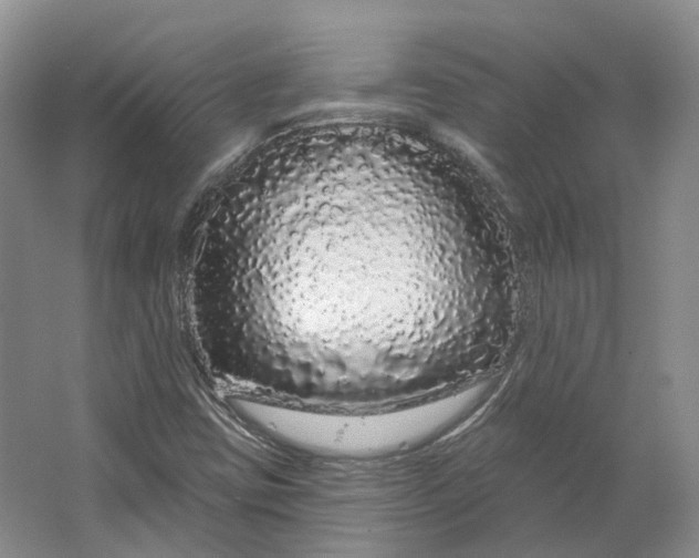 X0000064721403200602241621